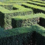 Labyrinthe au château de Schönbrunn