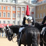 Relève de la garde à cheval