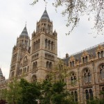 Natural History Museum