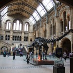 Natural History Museum