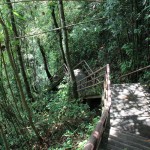 Escalier de la mort