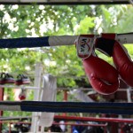 Ring de box thaïlandaise