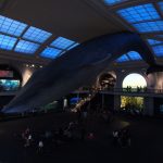 American museum of natural history